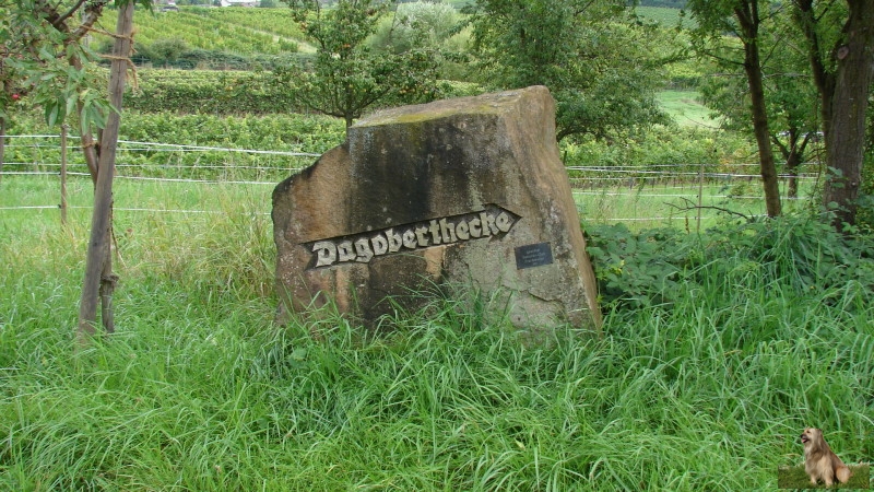 Ritterstein Nr. 183-11 Dagobert-Hecke.JPG - Ritterstein Nr.183 Dagobert-Hecke